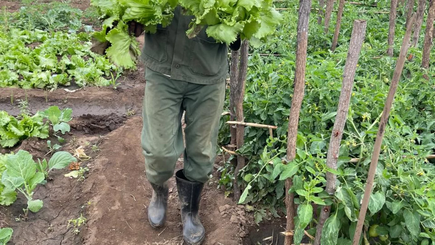 Farmer