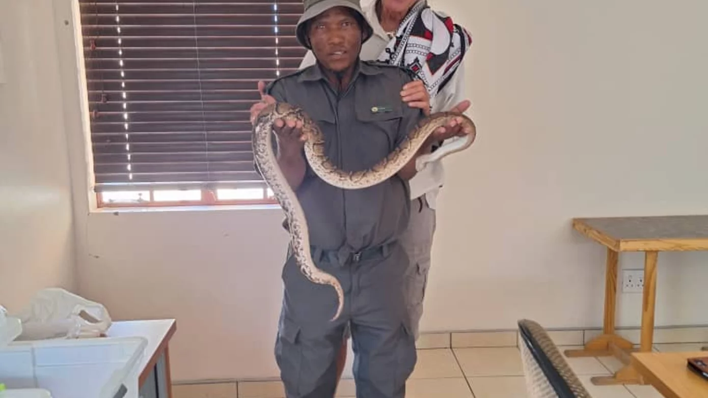 Snake handling course