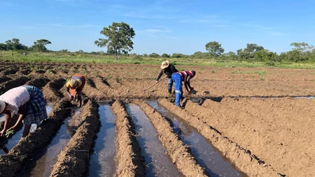 Irrigation scheme