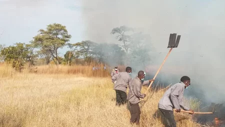 Community workers assisting with the creation of firebreaks in a Game Management Area